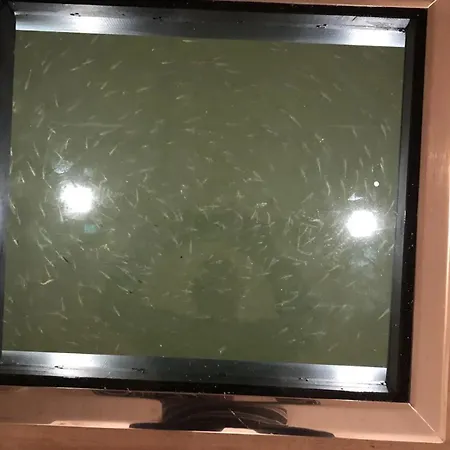 船上ホテル Hausboot Flying Dutchman Mit Dachterrasse In Am Ostseefjord Schlei シュレースヴィヒ