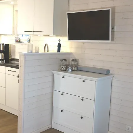 船上ホテル Hausboot Flying Dutchman Mit Dachterrasse In Am Ostseefjord Schlei